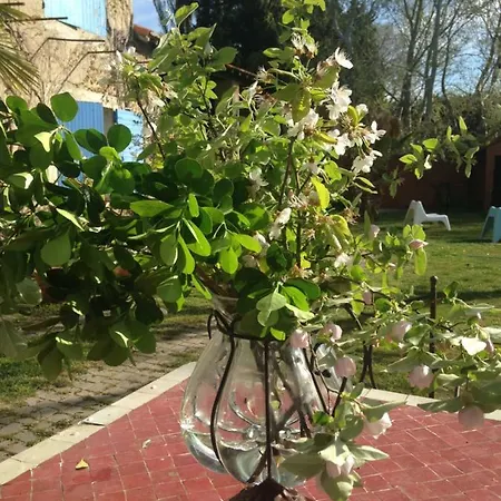 Nocleg ze śniadaniem Des Platanes *